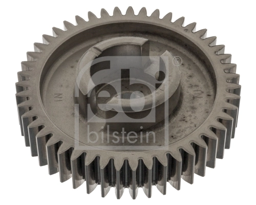 Gear/Sprocket, camshaft
